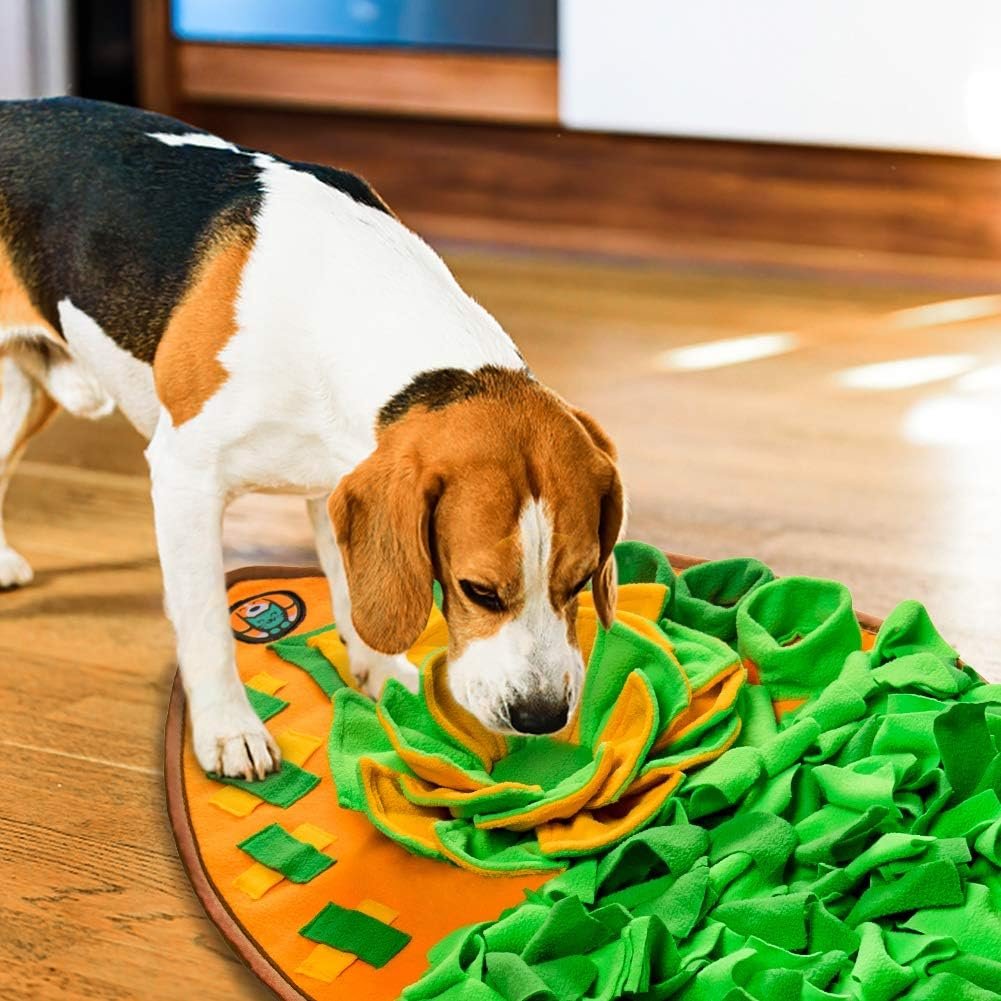 Biscuit with an AWOOF nosework snuffle mat