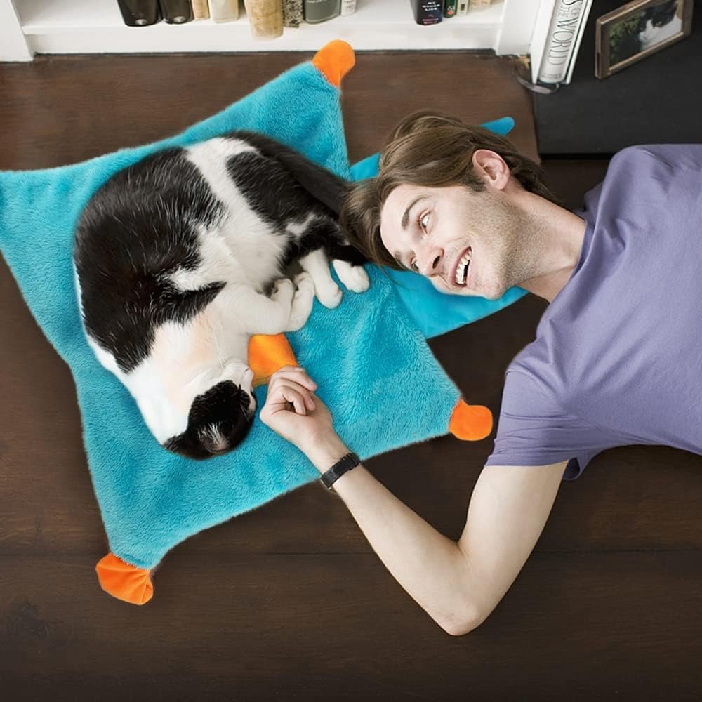 Juniper with an AWOOF cat activity mat with catnip pockets
