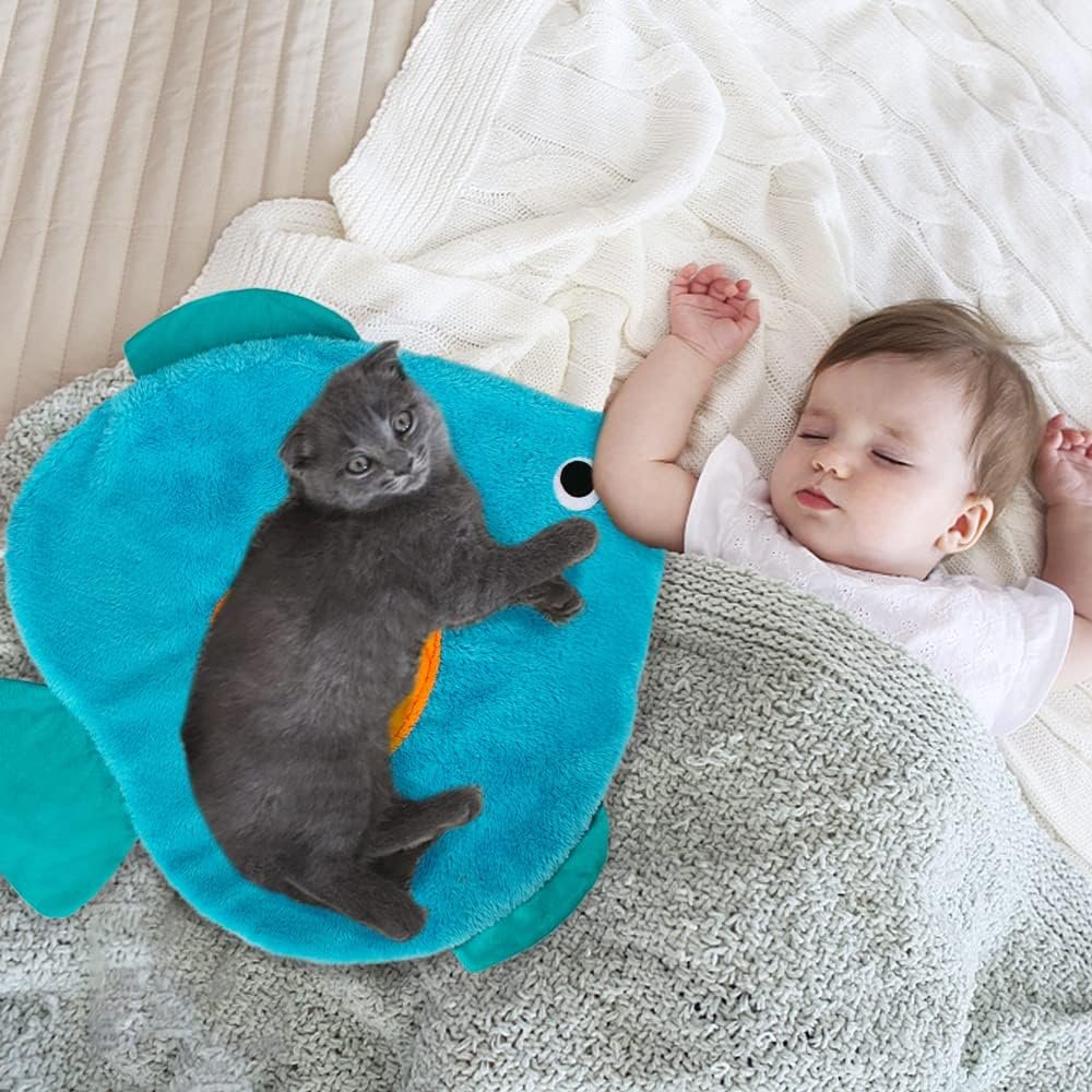An indoor cat play routine built around the hunt