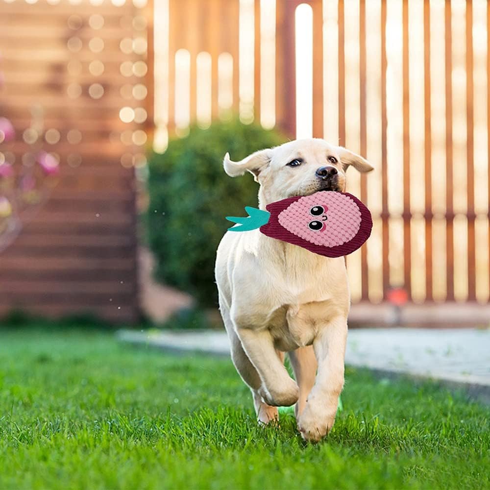 A happy dog running across the lawn with an AWOOF no-stuffing squeaky toy