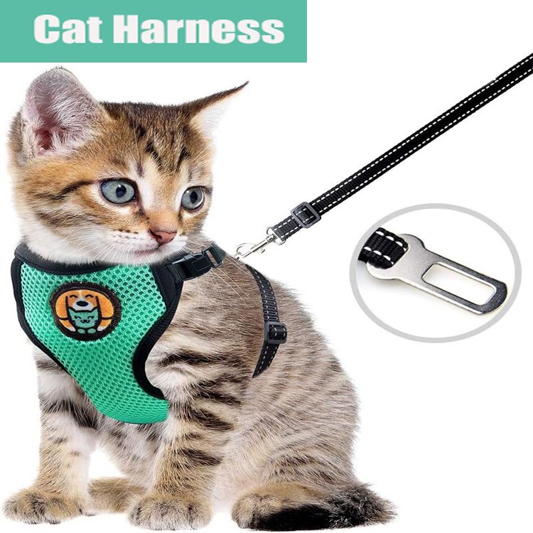 Cat Care from AWOOF in use