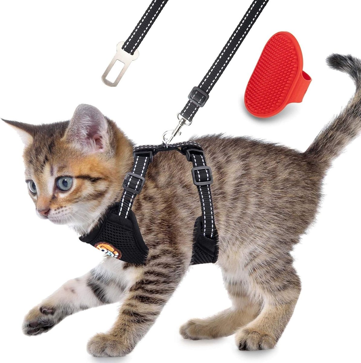AWOOF Reflective Kitten Harness & Leash Set